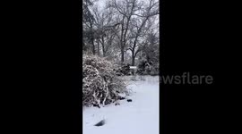 US: Low-Pressure System Moves Into Michigan, Bringing Inches Of Snow To Detroit