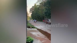 Residents chase runaway pig that jumped from truck