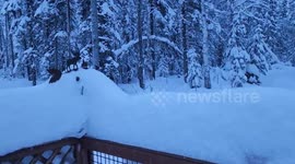 Heavy snow blankets Anchorage, Alaska