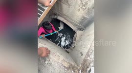 Volunteers jump down drain to rescue stray dog