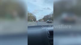 Baffled motorist spots HORSE charging down dual carriageway - in wrong direction