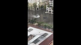 Tesla navigates flooded San Diego streets: unwavering in waterlogged challenge