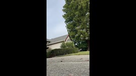 Tristan's bubble adventure takes a tumble