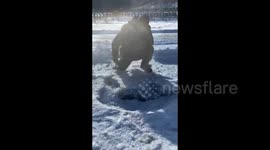 Man Creates Stunning Ice Dragon Sculpture in Tonghua, China