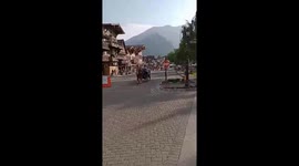 Beautiful horse walking tourists