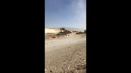 Tumbleweed Rolls Into Street Dog