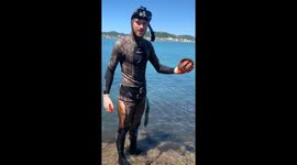 Hermit Crab Comes Out of His Shell and Does Just Fine