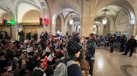 Chicago council vote in favour of ceasefire in Gaza