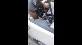 Kind driver rescues kittens trapped inside a car