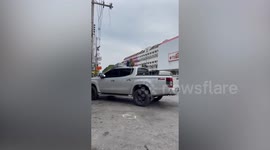 Wild macaques fiddle with gallon containers on pickup truck
