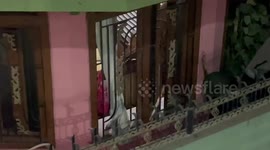 Wild leopard rampages though family's home in India