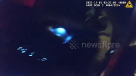 Escaped Kodiak Bear Cubs Roaming Streets in Baker, USA