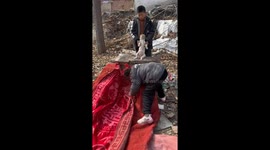 Kind-hearted children build winter shelter for stray dogs in China