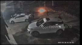 Playful Chinese dog causes panic by grabbing firecracker during celebration