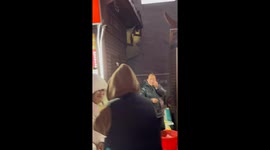 Clever Dog Communicates with Vendors at Chinese Night Market