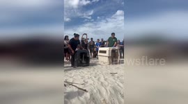 Police in Hollywood release six pelicans at beach cleanup in Hollywood