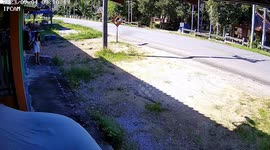 Woman shocked when snake appears as she puts out the washing