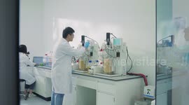 Chinese scientists mull building