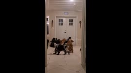 Pet owner receives 'love bomb' when returning home to tribe of cocker spaniels