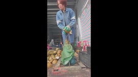 Woman uses large spear to quickly peel coconuts