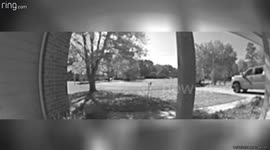 Chihuahua Chases After FedEx Driver