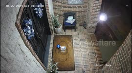 Nocturnal opossum cookie bandit caught in the act