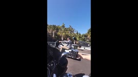 A Motorcycle Riding Dog
