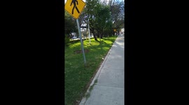 a quiet walk, relaxing walk on a sunny afternoon