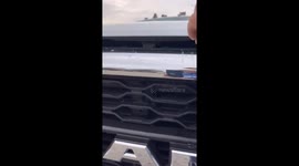 Raccoons Live Under The Hood Of A Truck