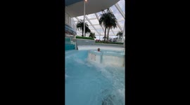 Ocean Turns Regular Pool Into Wave Pool