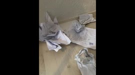 Cat Cosplays A Trash Panda