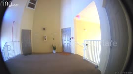 Amazon delivery driver caught on doorbell camera 'stealing package'