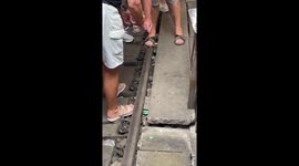 Tourists feed mice peeking out from under railway tracks