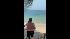 Tourists terrified when huge whale shark appears on Thai beach