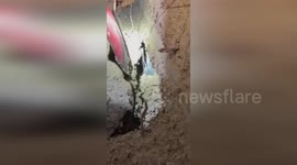 Firefighters rescue dog that became stuck whilst chasing a fox in Italy