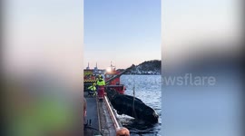 Tesla plunged into Oslo fjord before occupants rescued by passing floating sauna