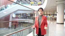 New high-speed line in N China embraces first Spring Festival travel rush | Sunny's Spotlight