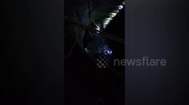 Officials rescued bull after it fell into deep well in northern India