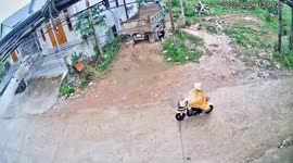 Woman falls off motorbikes to avoid dog darting across road