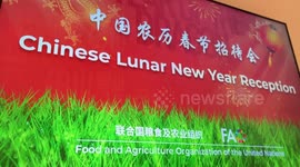 FAO celebrates Chinese Lunar New Year