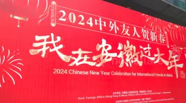 Expats in Anhui hail China's economic, technological development