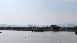 Mai Po Nature Reserve in HK: Wonderland in bustling city
