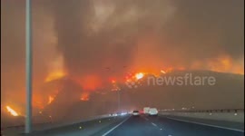 Chile Declares State of Emergency Amid Wildfires