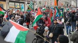 National demonstration for Palestine ceasefire now, London, UK