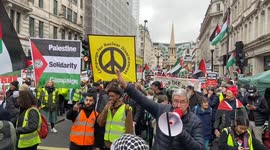 Hundreds of thousands of people march for Palestine in Central London