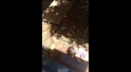 Child Naps In Cool Hose Water