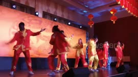 Chinese Embassy in Namibia celebrates Year of the Dragon