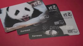 Travel cards themed on Russia's first panda cub issued in Moscow
