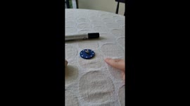 VFX Artist Creates a Very Well-Trained Fly