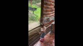 Playful leopard leaves little girl terrified at zoo in Thailand
